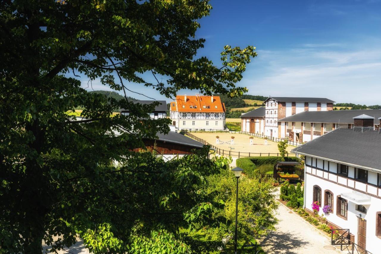 Hotel Dworzysko Szczawno-Zdroj Exterior foto